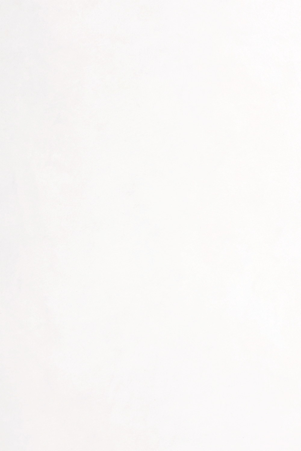 Béton ciré - teinte -A200 Ivoire